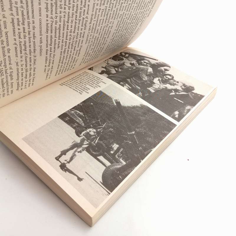 Last days of the Reich by James Lucas - cassell collection