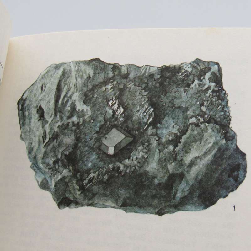 Hamlyn Colour Guides Minerals by Jaroslav Svenek