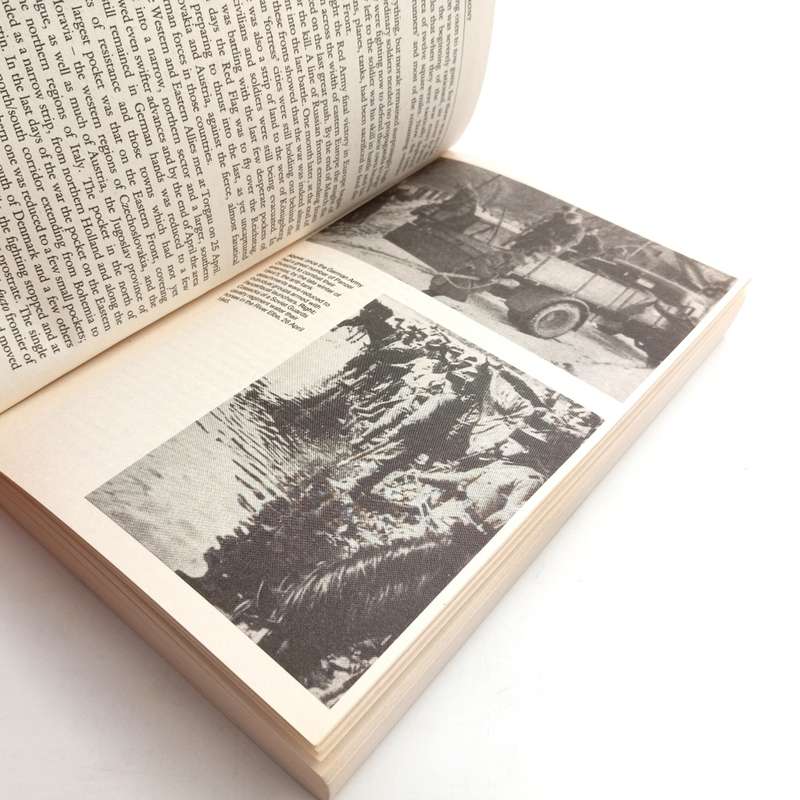 Last days of the Reich by James Lucas - cassell collection