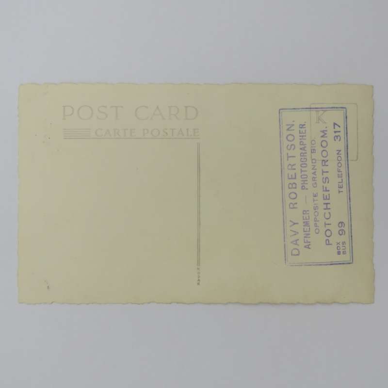 Postcard unused of Blonde girl. Taken by Davy Robertson of Potchefstroom - Vintage probably 1940`s