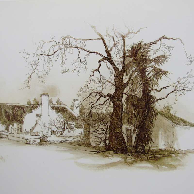 Eikestad - A collection of pen and wash drawings of Stellenbosch by Cora Coetzee
