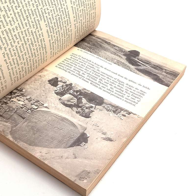 Tutankhamen Christiane Descoches - Noble court Philida - `n Slaweroman deur Andre P. Brink