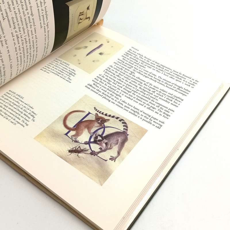 Painting for Calligraphers by Marie Angel