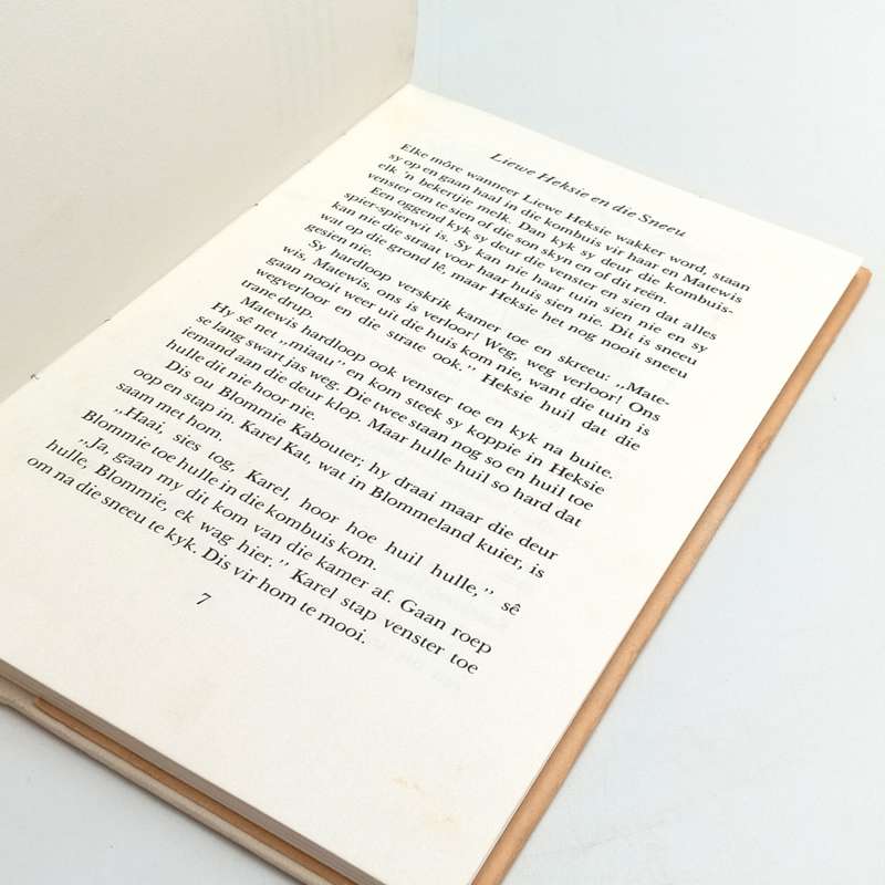 Stel van 4 Liewe Heksie boeke deur Verna Vels