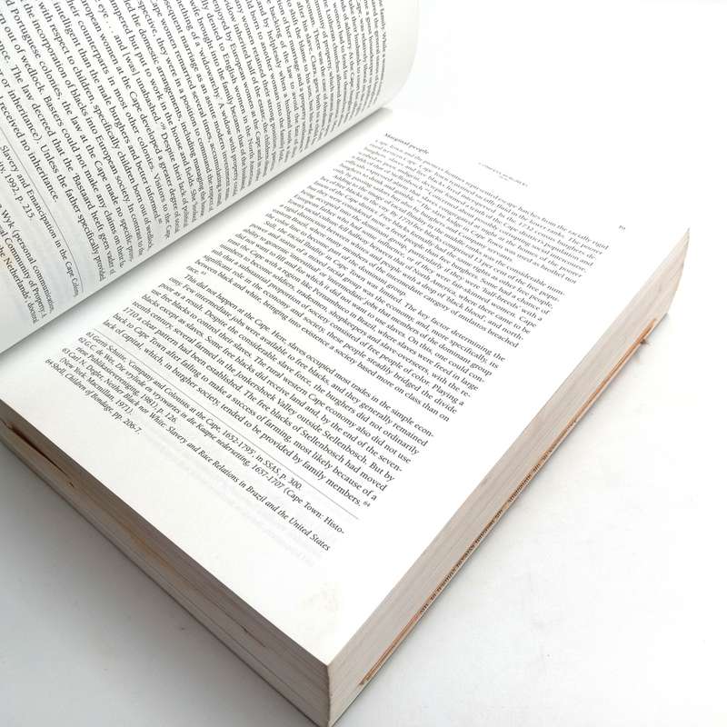 The Afrikaners - Biography of a people by Hermann Giliomee