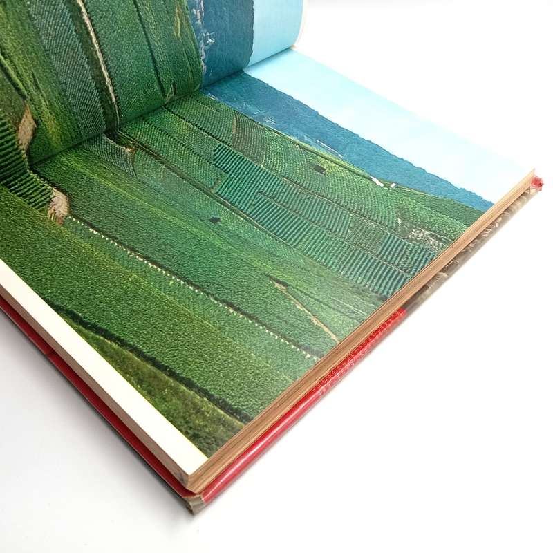 Champagne - Text and photographs by Willium I Kaufman