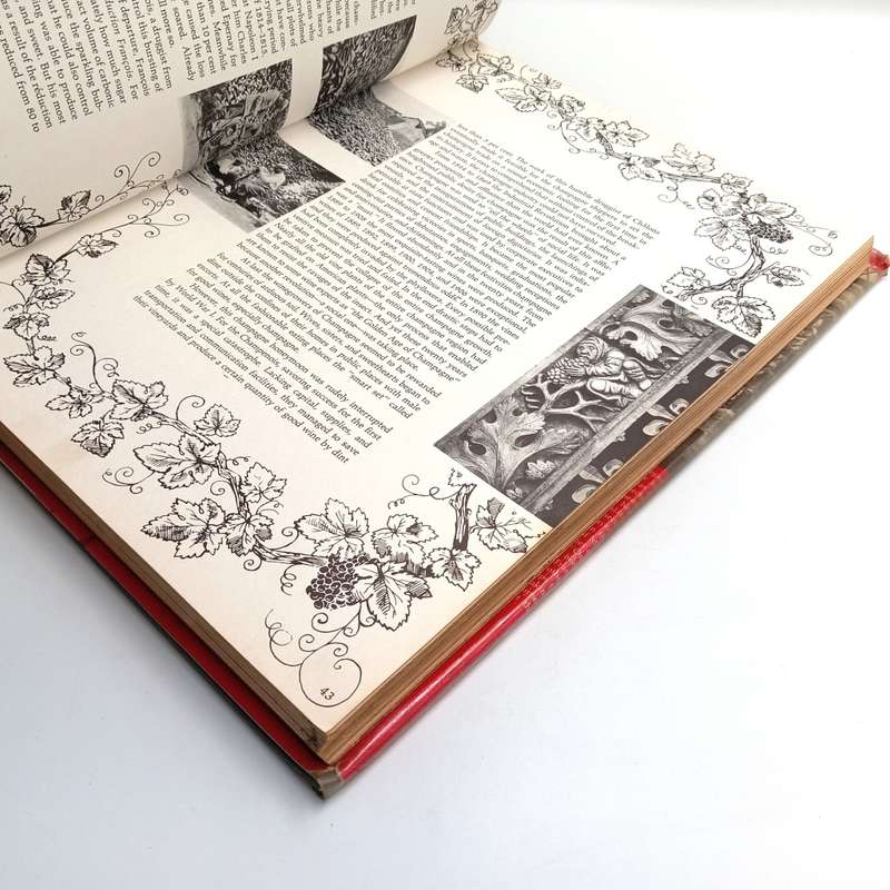 Champagne - Text and photographs by Willium I Kaufman