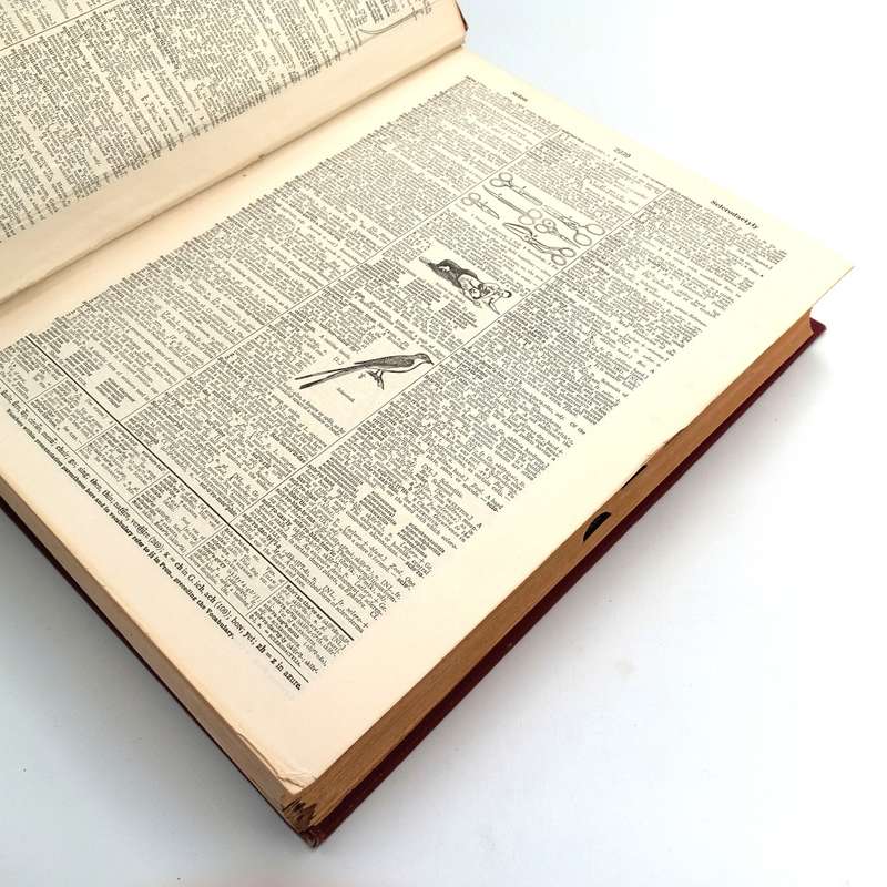 Webster`s New International Dictionary 1956 second edition in 3 volumes