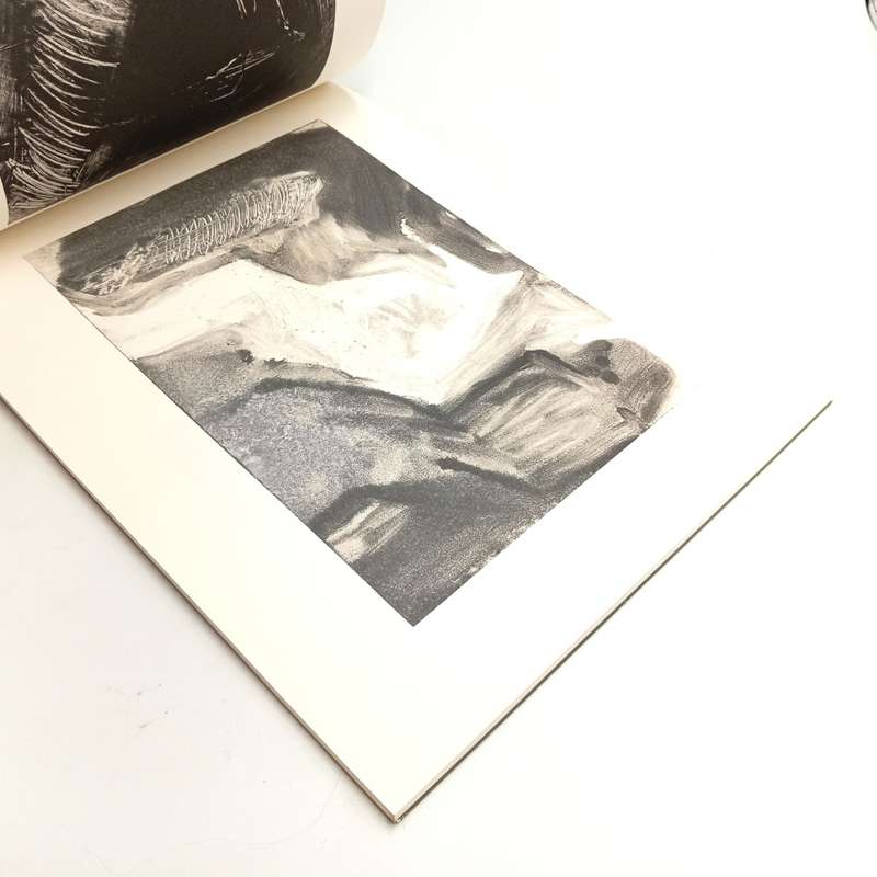 Maja Lisa Engelbrecht art exhibition books