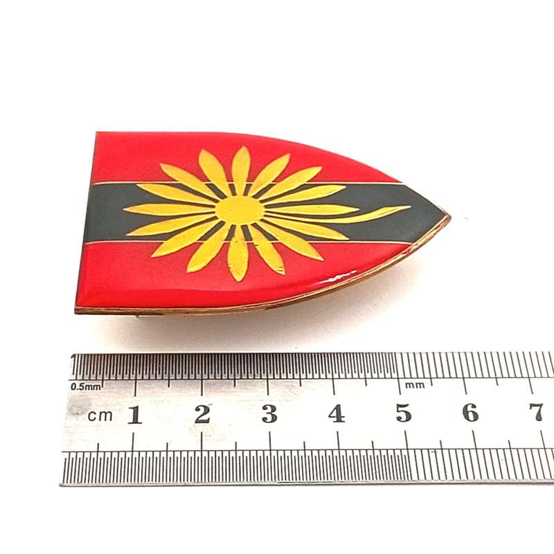 SADF Northern Transvaal Provost unit shoulder flash