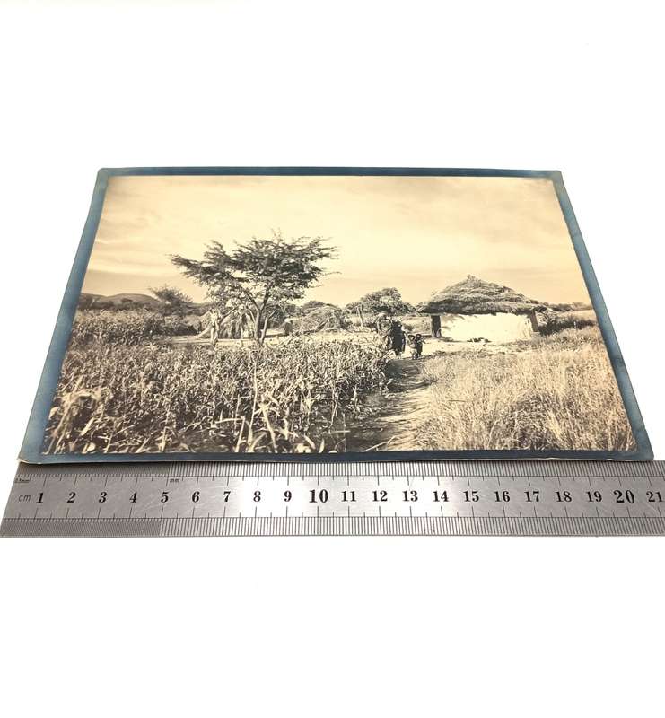 Erich Staebe Omaruru photo of a Veldboesman pair - South West Africa early 1900`s