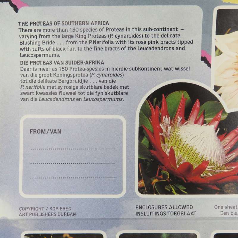 Vintage pre printed protea airmail letter - unused