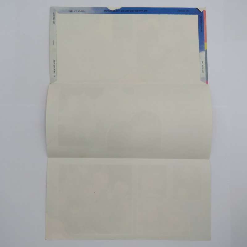 Vintage pre printed protea airmail letter - unused