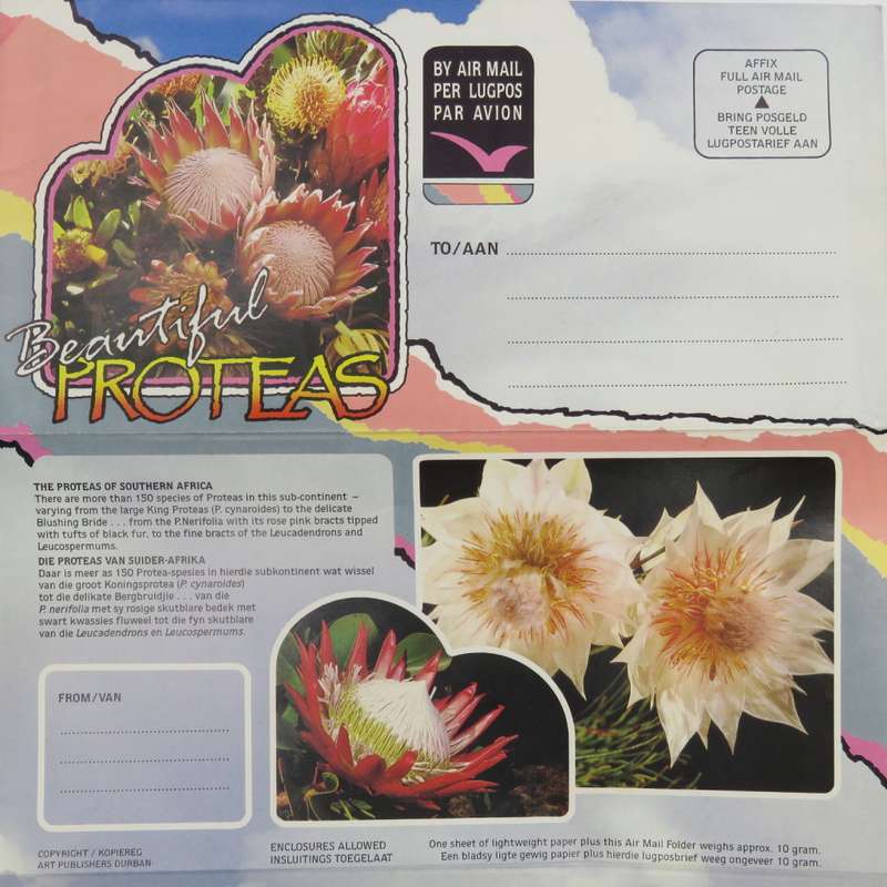Vintage pre printed protea airmail letter - unused