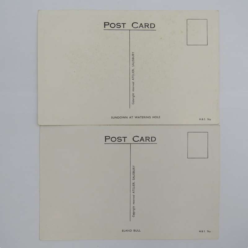 Lot of 5 unused animal postcards printed in Saldisbury Rodesia