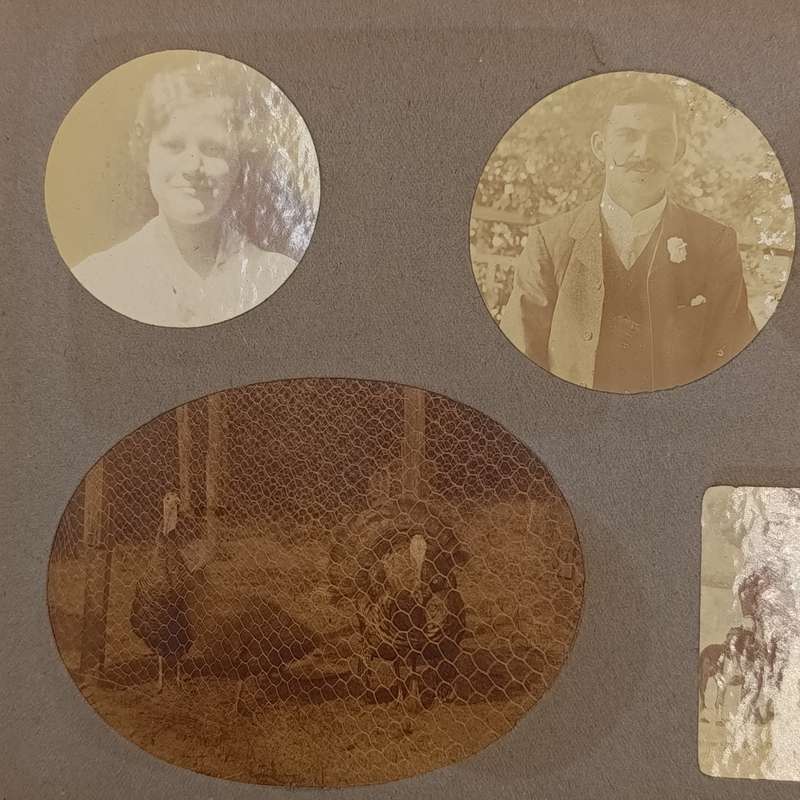 Lot of 114 antique photos in album - mostly people and presumably Pretoria and surroundings