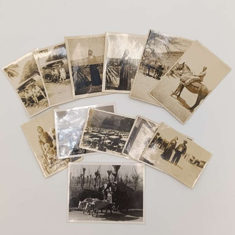 Lot of 12 antique photos of people, animals, and vehicles