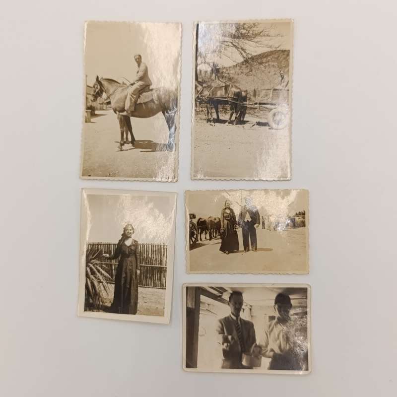 Lot of 12 antique photos of people, animals, and vehicles