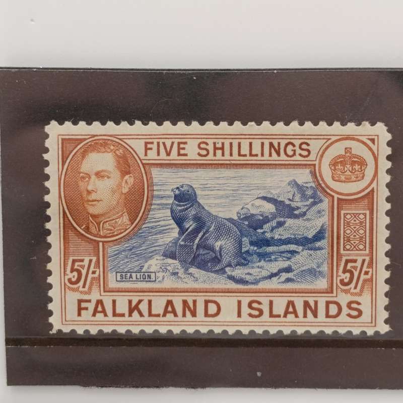 Falkland Islands - 1st printings (1938-50) 5 Shilling, 10 Shilling, 1 Pound VF LMM, 5G 161-63