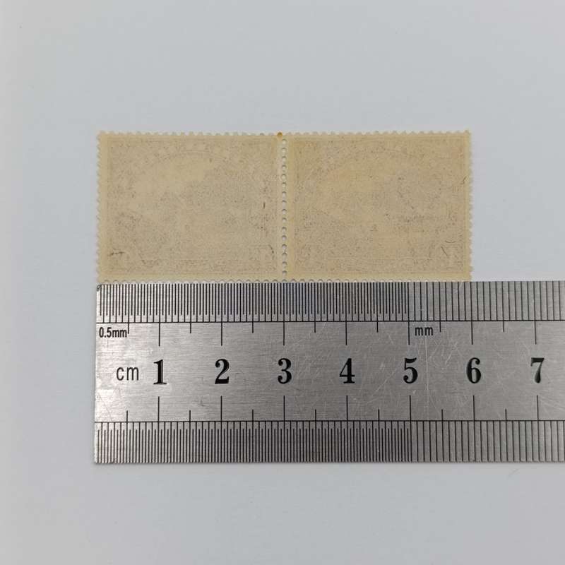 SACC 35 - Pair mint hinged - excellent copy
