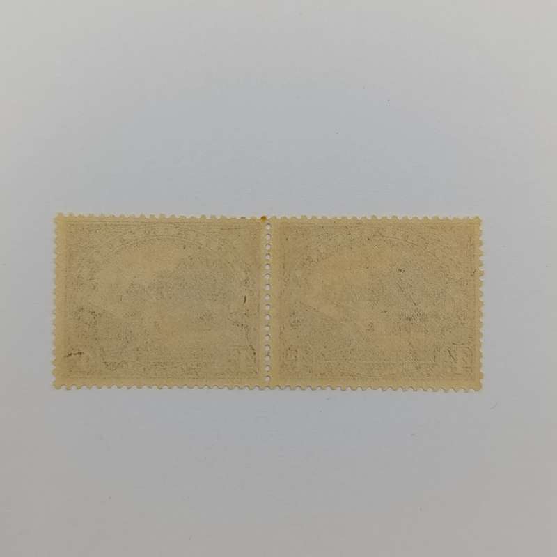 SACC 35 - Pair mint hinged - excellent copy