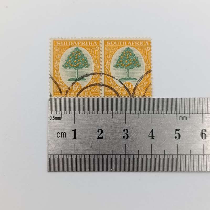 South Africa SACC 29L,30L,31L used pairs