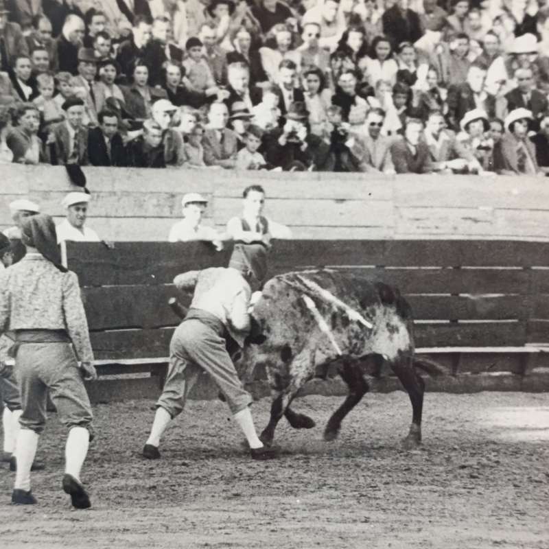 Lot of 9 photos taken at bull fight - vintage