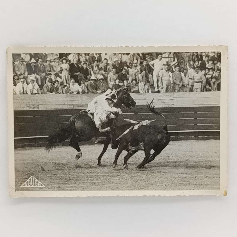 Lot of 9 photos taken at bull fight - vintage