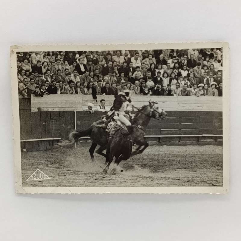Lot of 9 photos taken at bull fight - vintage