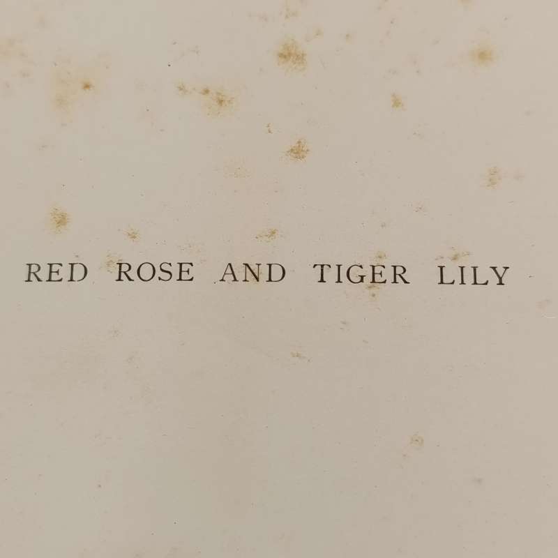 Red Rose and Tiger Lily by L.T Meade - original 1894 edition