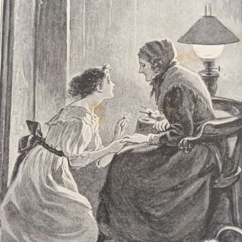Red Rose and Tiger Lily by L.T Meade - original 1894 edition