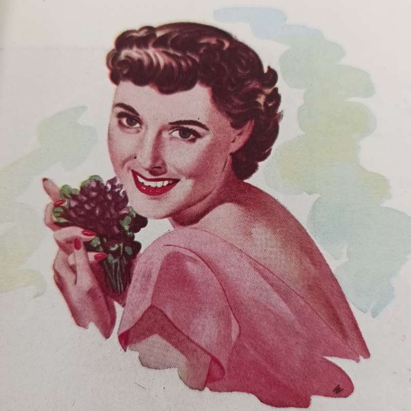 1952 Van Riebeeck Festival official festival Programme