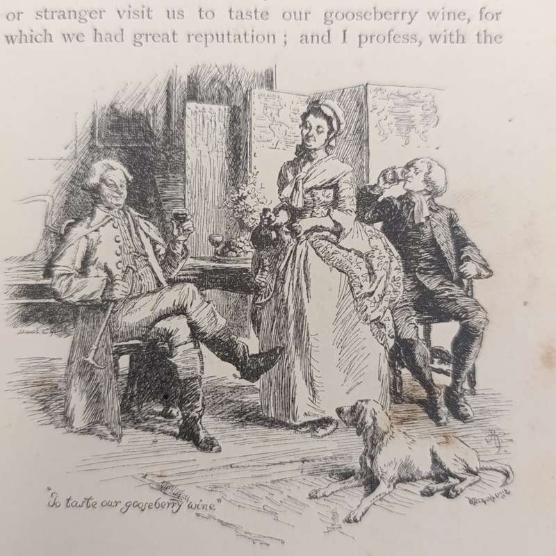 The Vicar of Wakefield by Oliver Goldsmith - Government of Natal Education Department issue