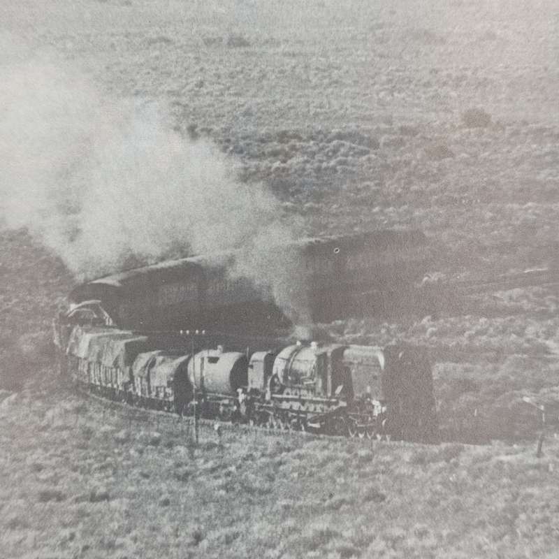 South Africa STEAM Today by David C. Rogers