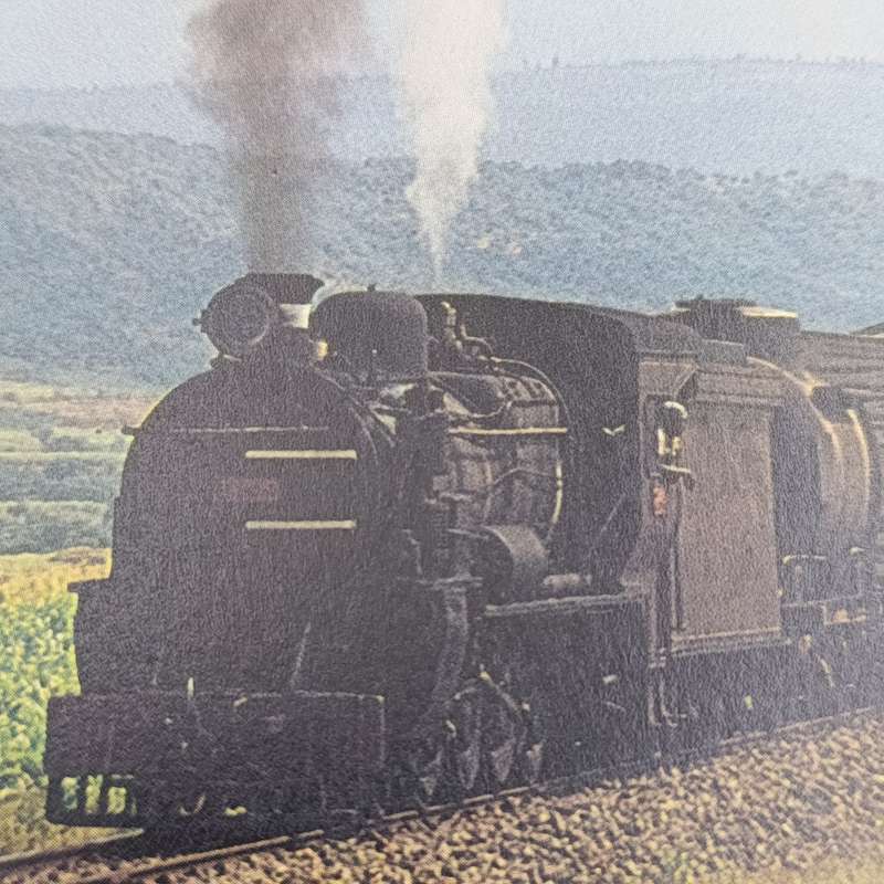 G. Haslbeck D. Wardale Steam on four Continents Part 2 Africa English and German Translation