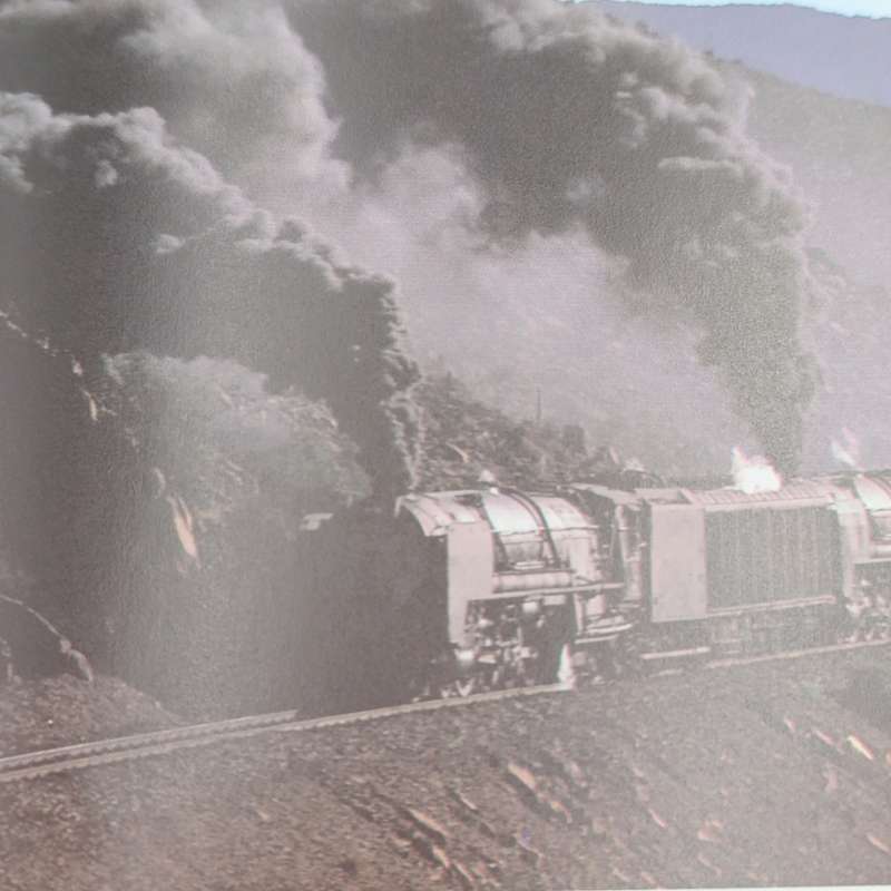 The great Steam Trek by C.P. Lewis & AA.Jorgensen - With News-paper cut-out