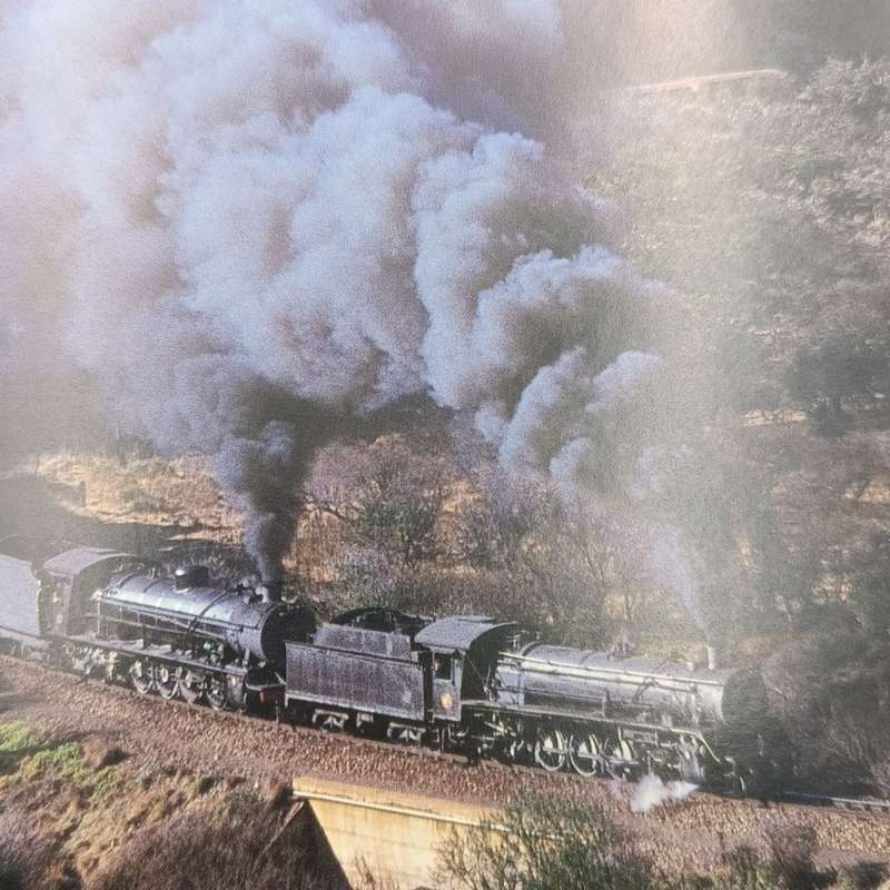 Twilight of South Africa Steam by A.E. Durrant