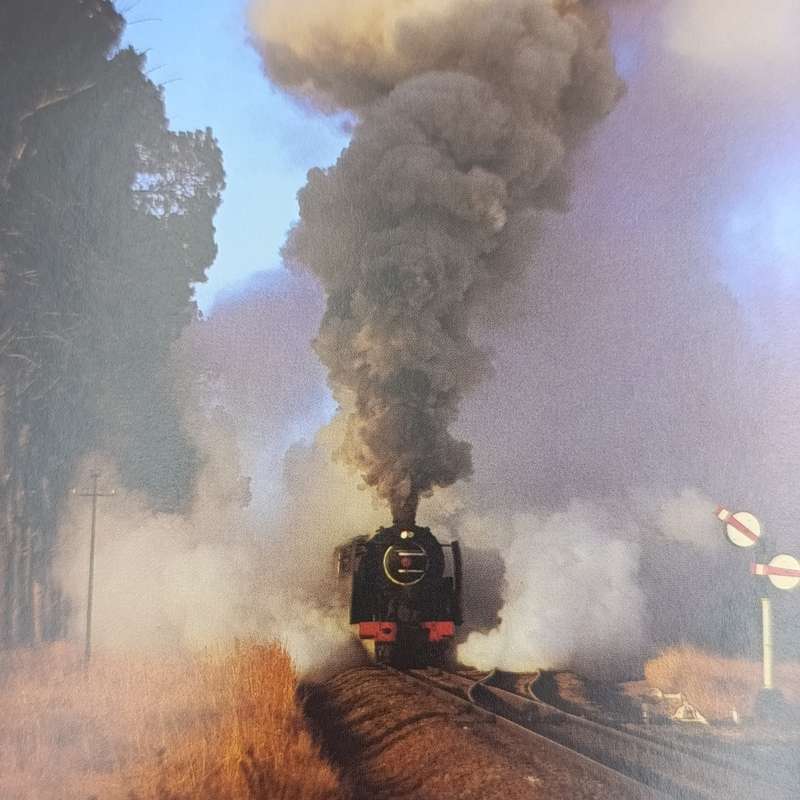 The Sunset of Steam by Dennis Moore