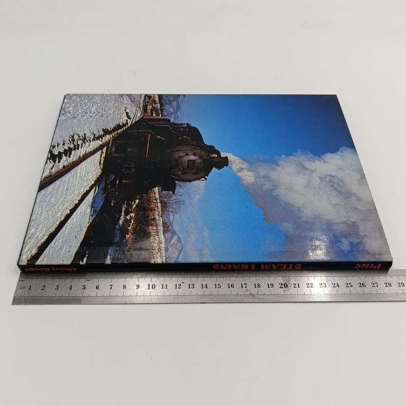Steam Trains by Paul Price
