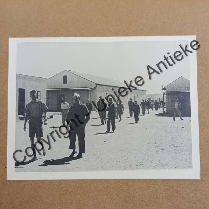 Agter Doringsdraad by L.T. Weichardt - Photo album of time in Andalusia