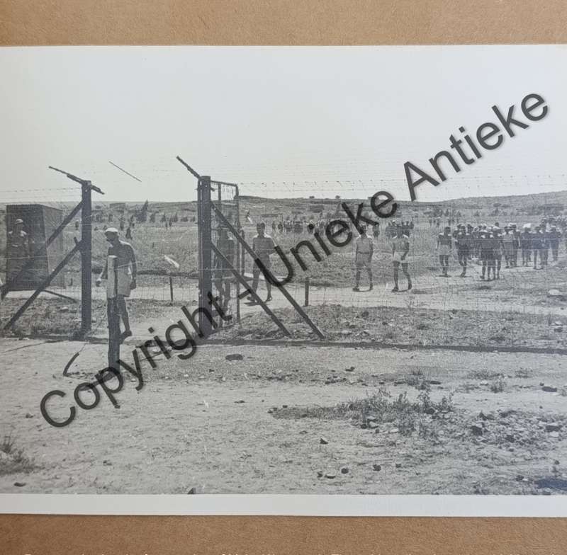 Agter Doringsdraad by L.T. Weichardt - Photo album of time in Andalusia