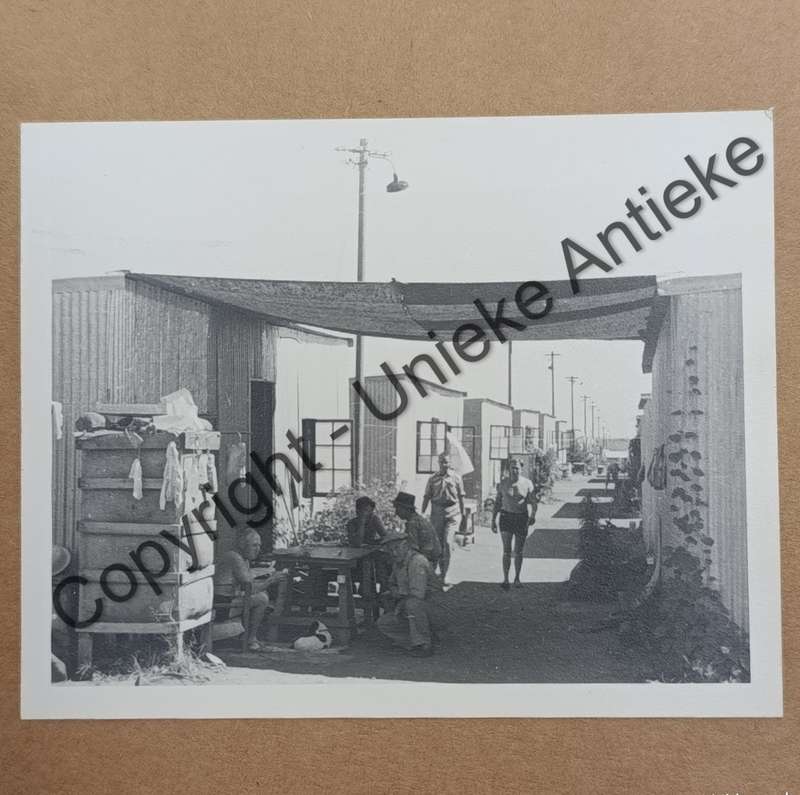 Agter Doringsdraad by L.T. Weichardt - Photo album of time in Andalusia