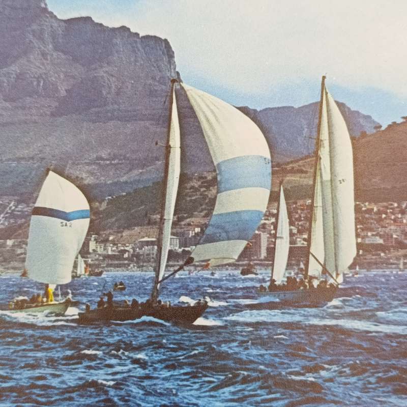 The Cape - A collection of photographs of the Cape Peninsula and its environs by Terence McNally
