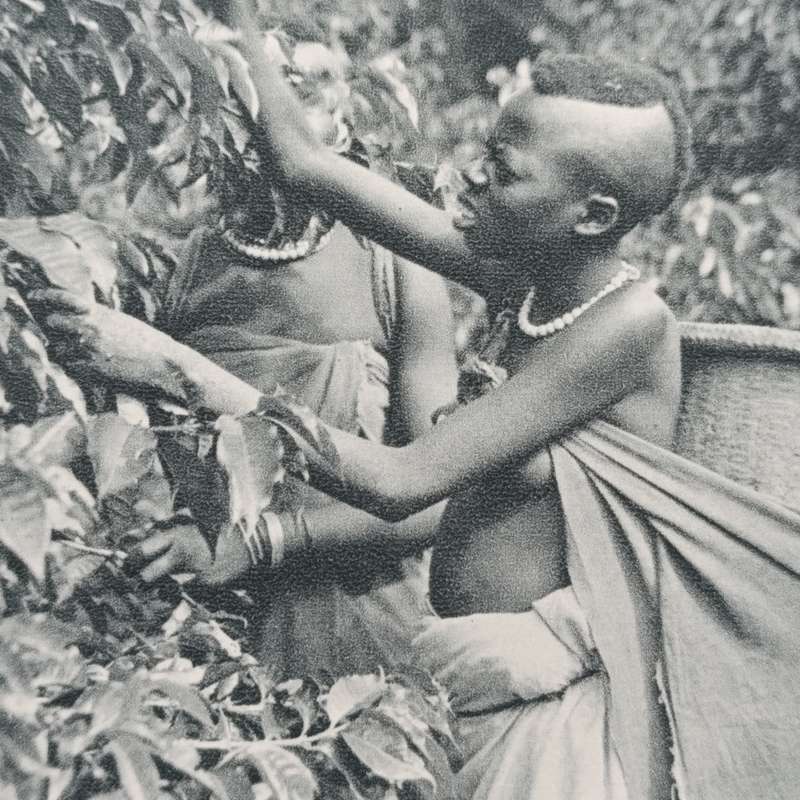 Congo Belge et Ruanda-Urundi - 1952