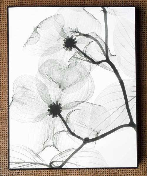 Beautiful framed printed artwork