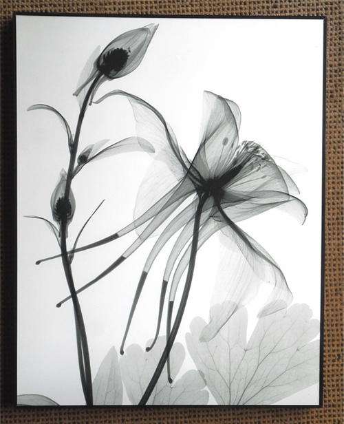Beautiful framed printed artwork