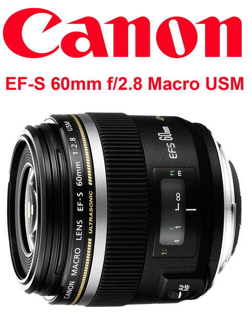 *** Canon EF-S 60mm f/2.8 Macro USM Lens *** 4 Months old *** Mint Condition ***