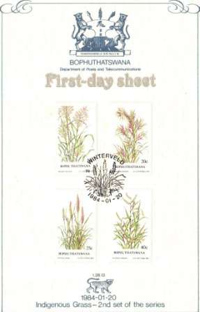 BOPHUTHATSWANA INDIGENOUS GRASS