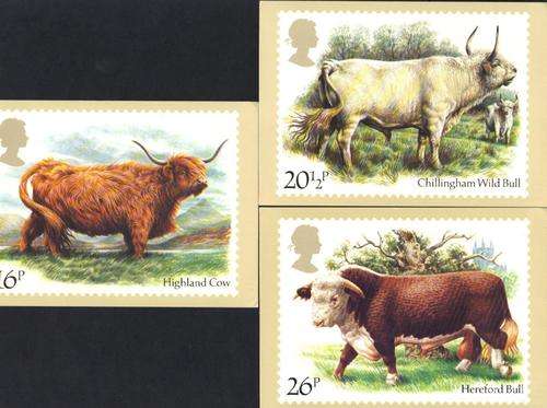 GB Set of 5 MAXI Cards Cattle 1984