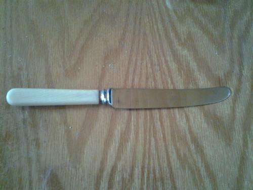 Bone handle butter knife